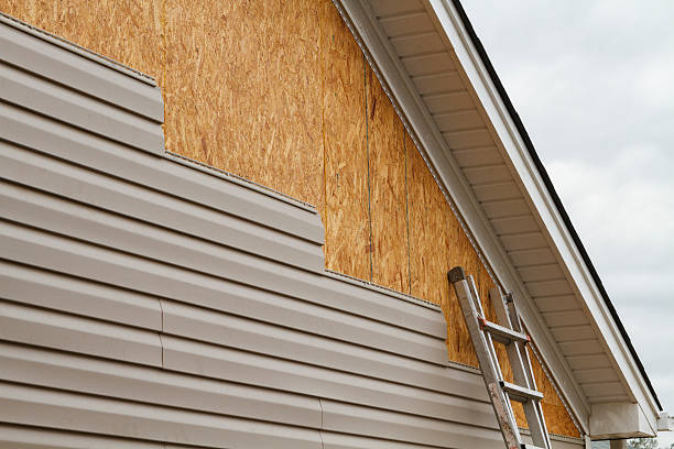 Professional Siding Repair technician working in Bear Creek, NC